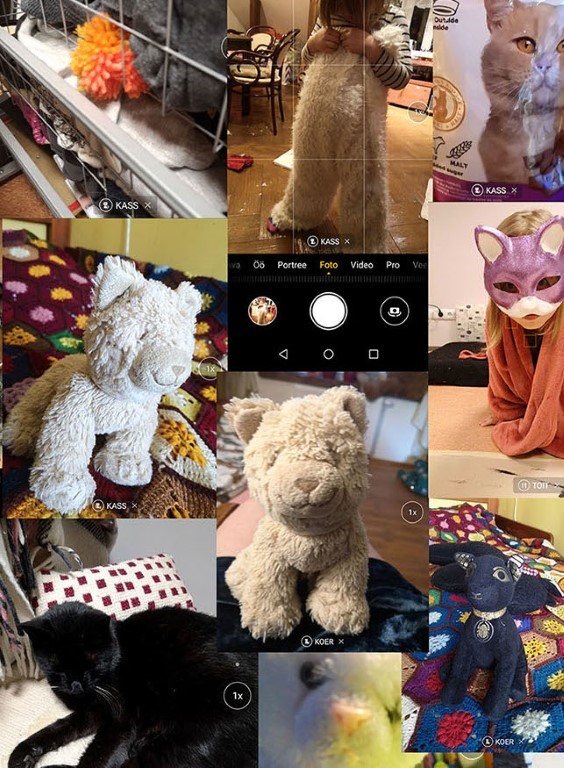 Kassikangas, detail. 2020.