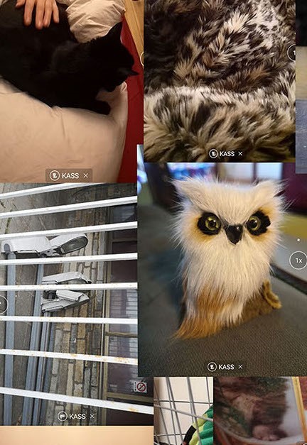 Kassikangas, detail. 2020.