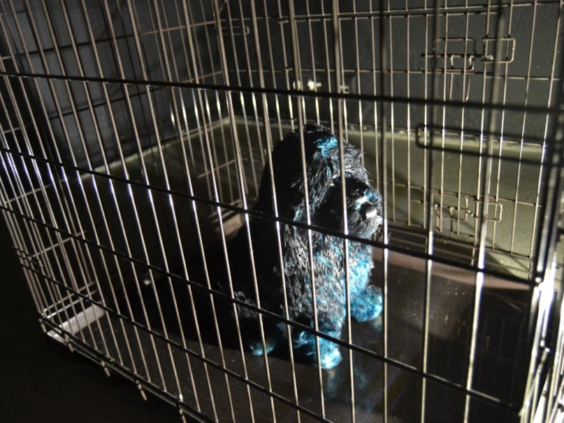 Koertenäitus, Vent Space, Tallinn, 2019.